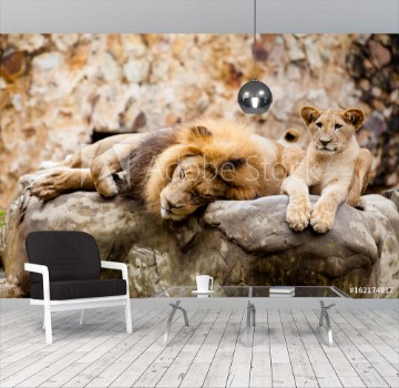 Bild på Lion Panthera leo resting on top of a rock